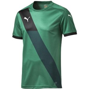 Puma finale short-sleeved shirt jersey Póló - S