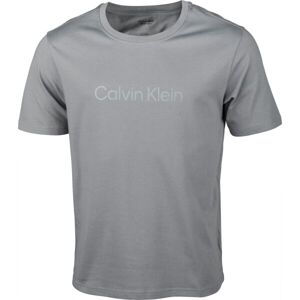 Calvin Klein S/S T-SHIRTS Férfi póló, kék, veľkosť S