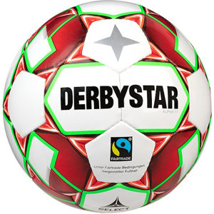 Labda Derbystar Alpha TT v20 Training Ball