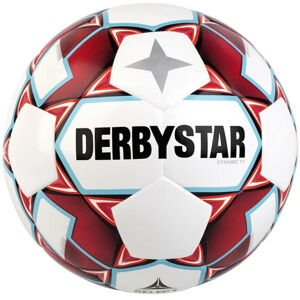 Labda Derbystar Dynamic TT v20 Trainingsball