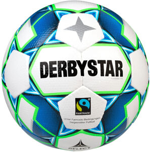 Labda Derbystar Derbystar Gamma TT v20 Trainingsball