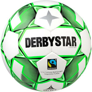 Labda Derbystar Omega APS v20 Training Ball