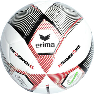 Labda Erima Erima Hybrid 2.0 Trainingsball 11TS