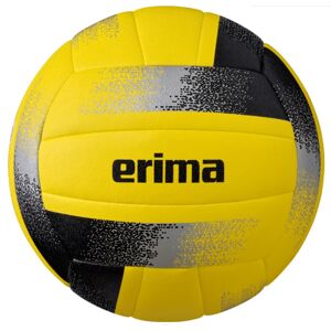 Labda Erima Hybrid volleyball