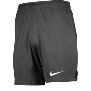 Rövidnadrág Nike  Foundation Goalkeeper Shorts