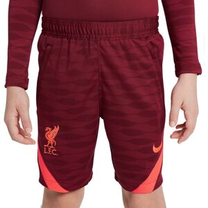 Rövidnadrág Nike Liverpool FC Strike Big Kids Soccer Shorts