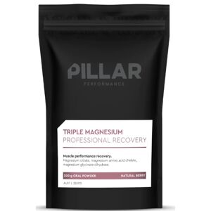 Vitaminok és ásványi anyagok Pillar Performance Triple Magnesium Professional Recovery Powder Berry (200g) POUCH