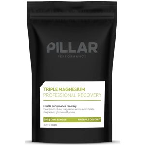 Vitaminok és ásványi anyagok Pillar Performance Triple Magnesium Professional Recovery Powder Pineapple Coconut (200g) POUCH