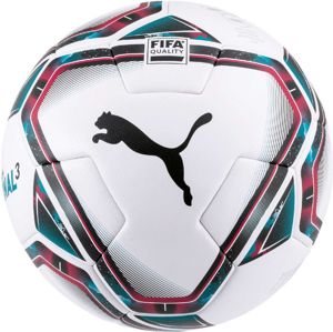 Labda Puma teamFINAL 21.3 FIFA Quality Ball