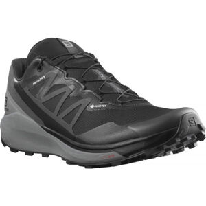 Salomon SENSE RIDE 4 INVISIBLE GTX Férfi trail cipő, fekete, méret 42 2/3