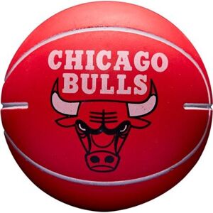 Labda Wilson NBA DRIBBLER BASKETBALL CHICAGO BULLS
