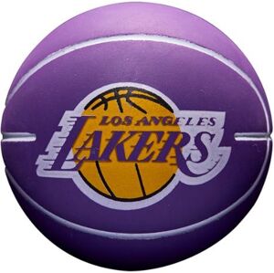 Labda Wilson NBA DRIBBLER BASKETBALL LOS ANGELES LAKERS